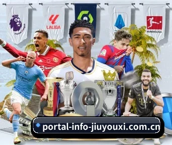 portal-info-jiuyouxi.com.cn APP